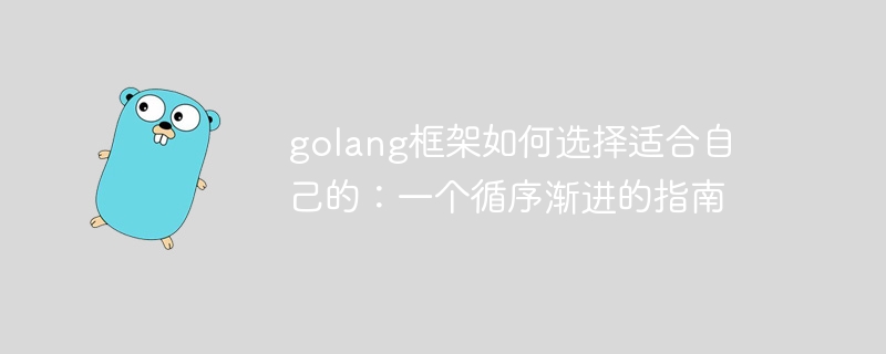 golang框架如何选择适合自己的:一个循序渐进的指南插图 golang框架如何选择适合自己的:一个循序渐进的指南