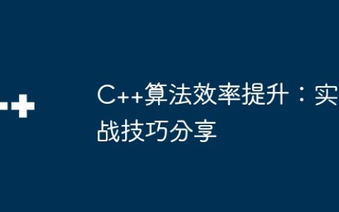 C++算法效率提升：实战技巧分享