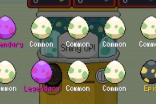 宝可梦肉鸽新手怎么玩插图4 宝可梦肉鸽新手怎么玩