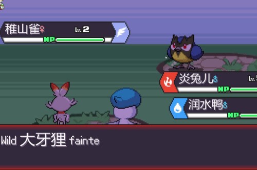 宝可梦肉鸽新手怎么玩插图 宝可梦肉鸽新手怎么玩