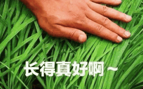 《剑网3无界》实现15年数据端手游互通，玩家馋哭了！喊话自家MMO好好学