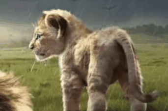 野兽领主新世界阵容怎么搭配插图 野兽领主新世界阵容怎么搭配