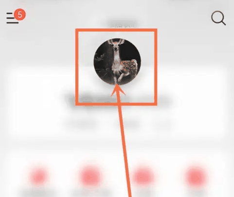 网易云音乐怎么隐藏关注和粉丝插图1 网易云音乐怎么隐藏关注和粉丝