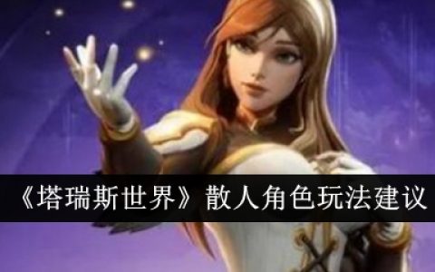 《塔瑞斯世界》散人角色玩法建议