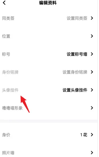 玩吧app的头像挂件怎么弄 玩吧APP设置头像挂件教程插图2 玩吧app的头像挂件怎么弄 玩吧APP设置头像挂件教程