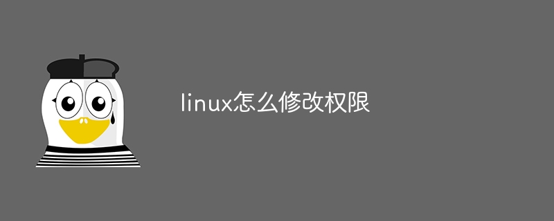 linux怎么修改权限插图 linux怎么修改权限