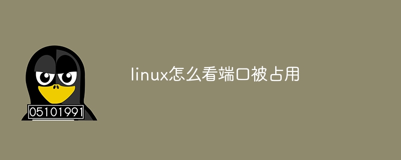 linux怎么看端口被占用插图 linux怎么看端口被占用