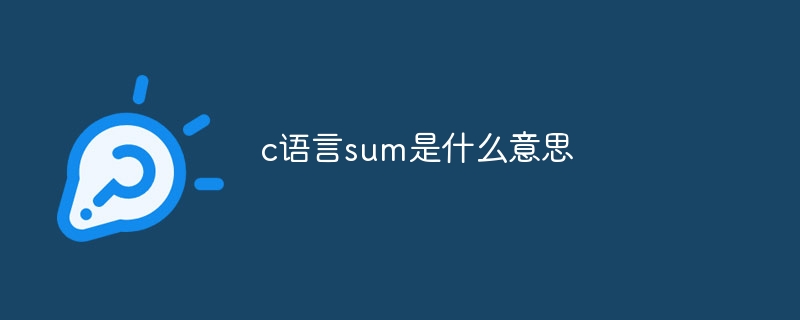 c语言sum是什么意思