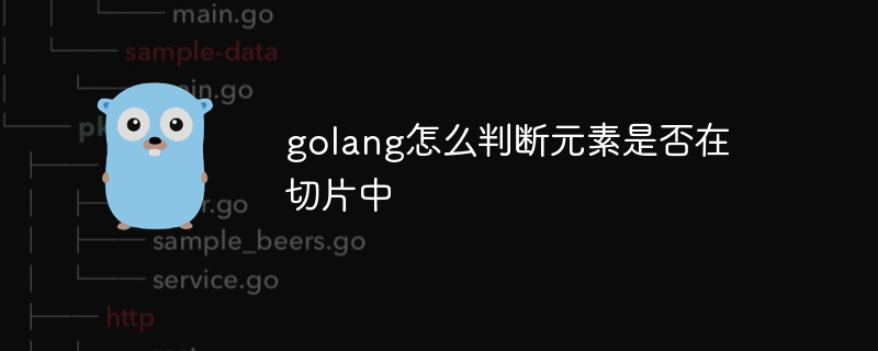 golang怎么判断元素是否在切片中插图 golang怎么判断元素是否在切片中