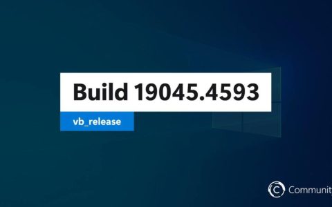 Win10 19045.4593：Beta / RP 将发相同预览版更新补丁KB5039299(附更细修复介绍)