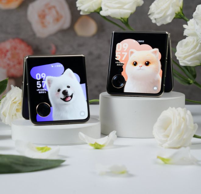 荣耀Magic V Flip和华为Pocket2哪款好 荣耀Magic V Flip和华为Pocket2对比介绍插图5