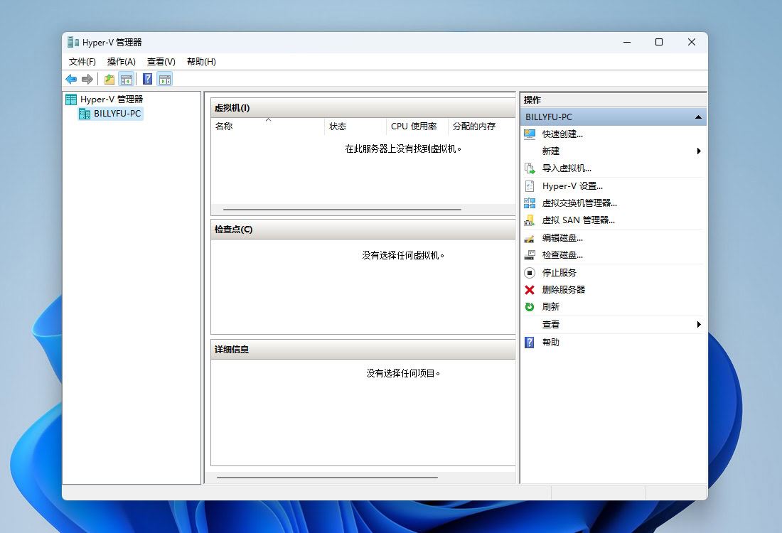 windows11选择哪个版本? Win11家庭版与专业版深度对比插图2