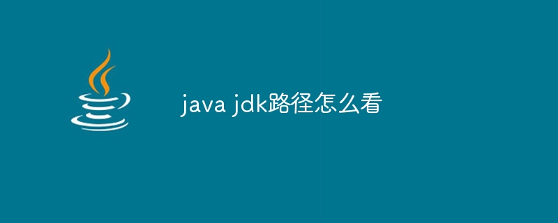 java jdk路径怎么看
