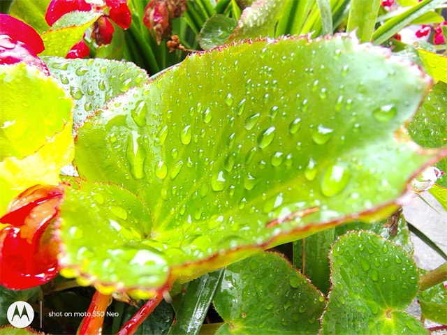 联想moto S50 Neo怎么样 联想moto S50 Neo评测插图13