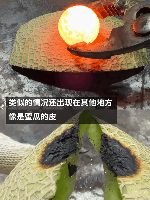 菠萝皮能抗住1000°C铁球吗：有人做了一次真实试验