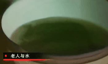 女孩声说自己16年不吃不喝 甚至连厕所都不用上!插图24 女孩声称自己16年不吃不喝 甚至连厕所都不用上!