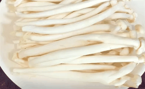 凉菜三巨头:塑胶跑道,神经末梢,透明门帘是什么梗 梗意思介绍插图3 凉菜三巨头:塑胶跑道神经末梢透明门帘是什么梗 梗意思介绍