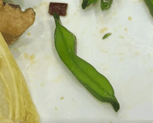 凉菜三巨头:塑胶跑道,神经末梢,透明门帘是什么梗 梗意思介绍插图4 凉菜三巨头:塑胶跑道神经末梢透明门帘是什么梗 梗意思介绍