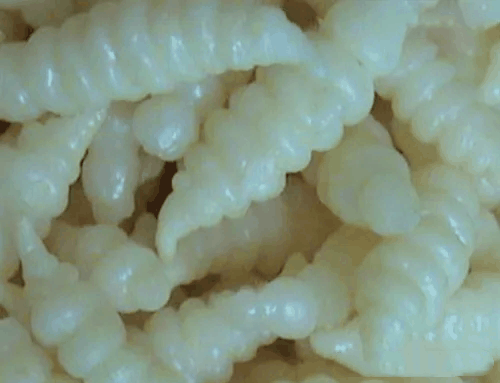 凉菜三巨头:塑胶跑道,神经末梢,透明门帘是什么梗 梗意思介绍插图5 凉菜三巨头:塑胶跑道神经末梢透明门帘是什么梗 梗意思介绍