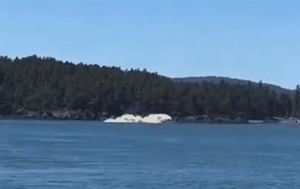 驾驶老式飞机落水 美国前宇航员威廉·安德斯遭遇空难：享年90岁