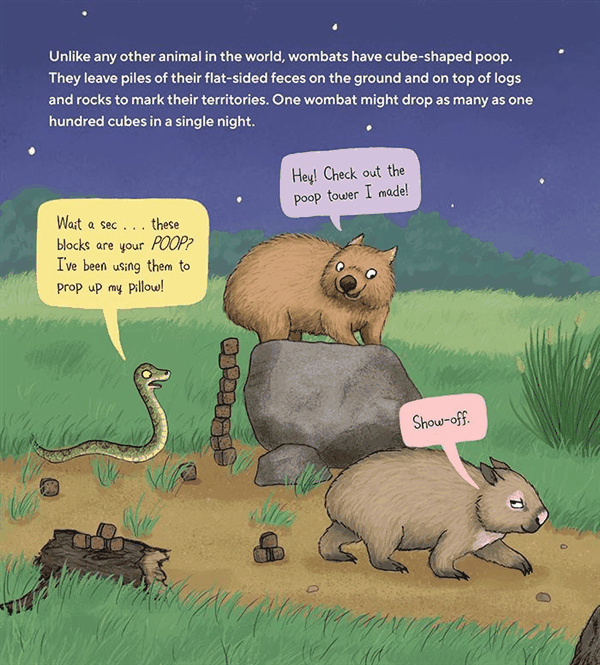 血气“方”肛！袋熊拉出立方体便便：一摞一摞叠放在门口展示