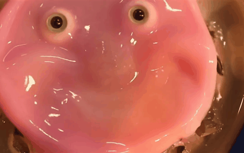 机器人长“脸”了！日本培育出活体皮肤人脸：笑容一言难尽