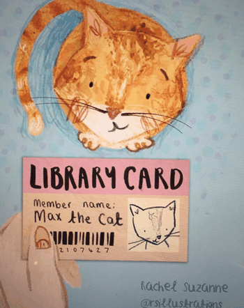 快别睡了！美国小猫念了4年大学后：获得了博士学位