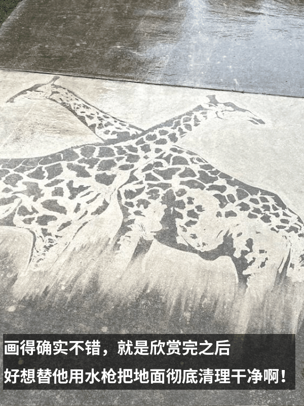 洗地最成功的一集！强迫症看了又爽又难受