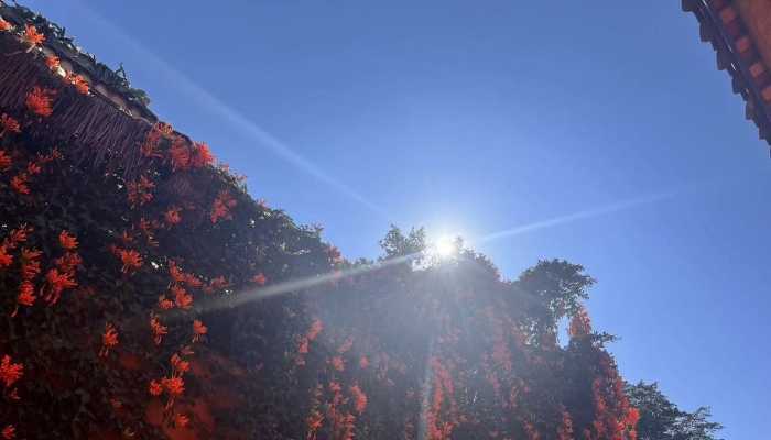 未来三天北京高温炎热天气仍将频繁登场 最高气温仍将达到35℃至36℃