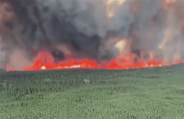 过火面积相当于欧洲一个国家：美国阿拉斯加大火已烧了三周