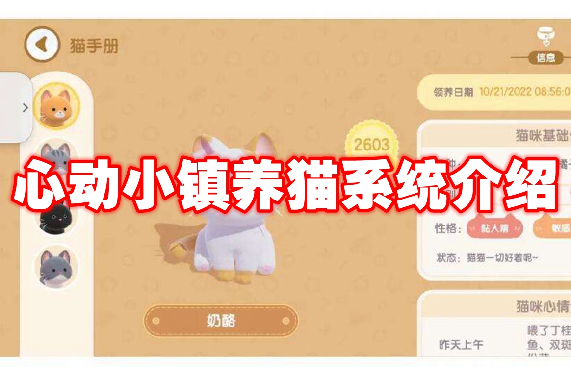 心动小镇养猫系统介绍 心动小镇养猫玩法攻略插图 心动小镇养猫系统介绍 心动小镇养猫玩法攻略