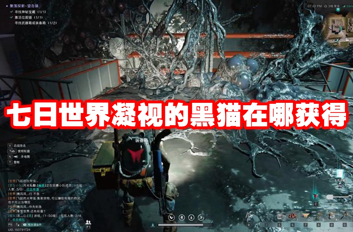 七日世界凝视的黑猫在哪获得 七日世界凝视的黑猫获取方法