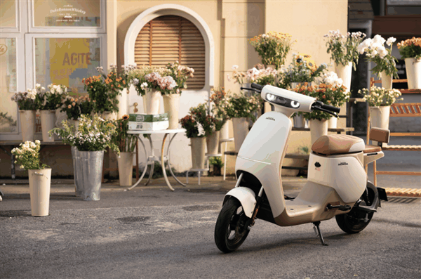 清华大学教授吐槽电动自行车新国标:25km/h比自行车还慢插图 清华大学教授吐槽电动自行车新国标:25km/h比自行车还慢