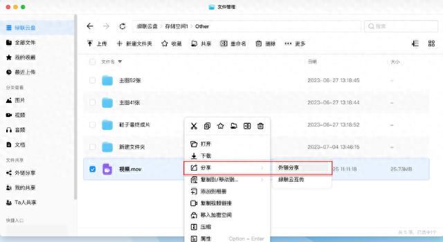 均衡且全面的强! 绿联私有云DX4600 Pro搭建家庭影院的详细教程插图31