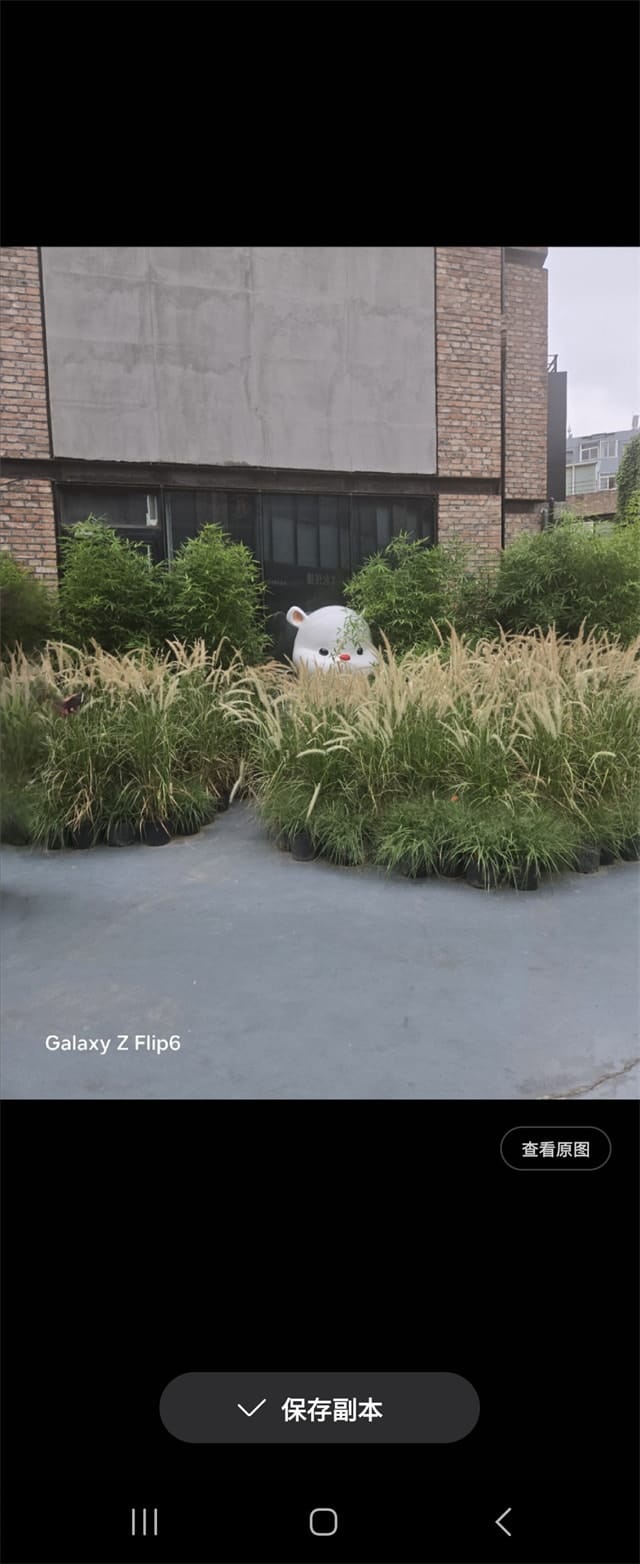 三星Galaxy Z Flip6体验怎么样 三星Galaxy Z Flip6体验评测插图22