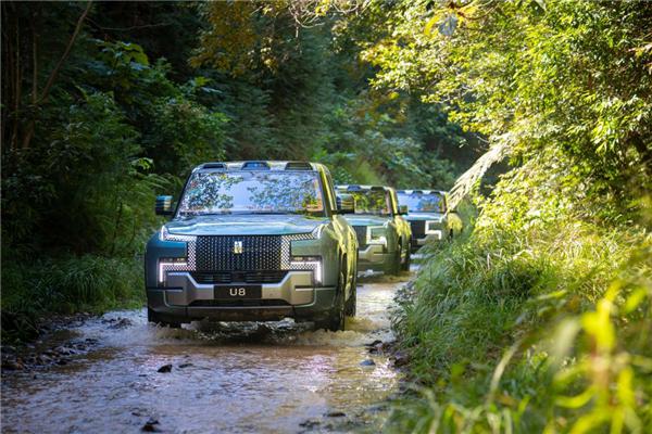 上半年车圈“宫斗”大戏收官：国产四强霸榜 新势力艰难突围插图2