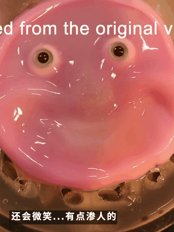 还得是日本！给机器人做了一张“人皮”：这鬼畜微笑过于瘆人