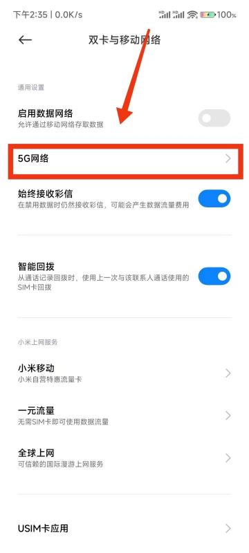 RedmiK70至尊版怎么关闭5G网络?RedmiK70至尊版关闭5G网络教程插图3 RedmiK70至尊版怎么关闭5G网络?