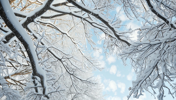 冷空气对台风发生发展的作用 台风和冷空气相遇会发生什么插图1 冷空气对台风发生发展的作用 台风和冷空气相遇会发生什么