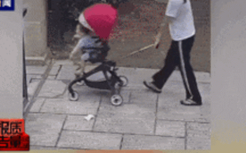 央视曝光“遛娃神器”质量问题！市监总局回应：冒用3C证书