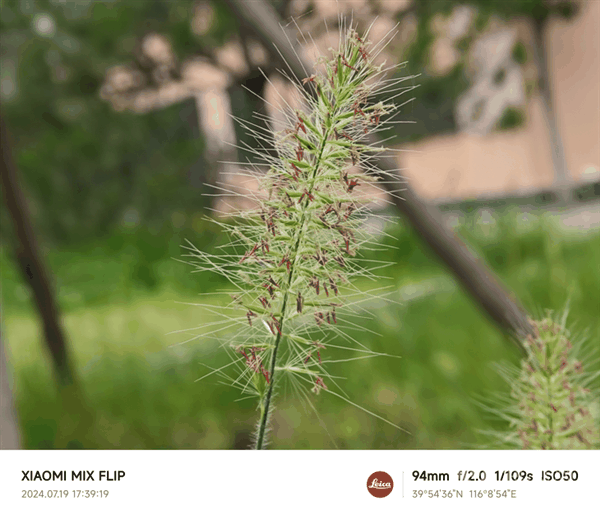 小米MIX Flip上手:史上最全能的小折叠插图39 小米MIX Flip上手:史上最全能的小折叠