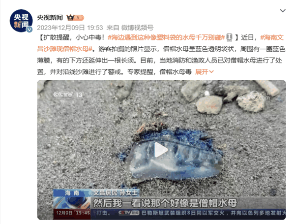 去海边玩看到“塑料袋”赶紧跑、别犹豫！