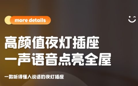 语音控制小夜灯、双USB口：钊牛夜灯插座19.9元大促（减30元）