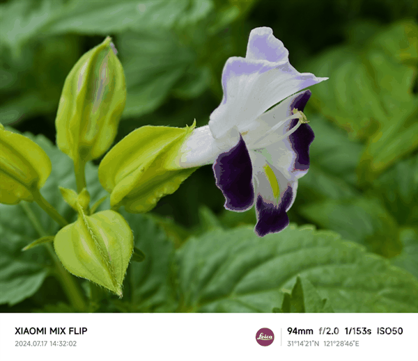 小米MIX Flip上手:史上最全能的小折叠插图38 小米MIX Flip上手:史上最全能的小折叠