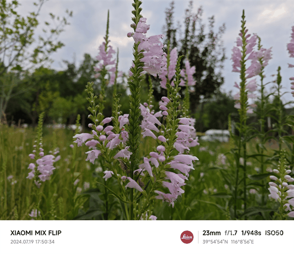 小米MIX Flip上手:史上最全能的小折叠插图32 小米MIX Flip上手:史上最全能的小折叠