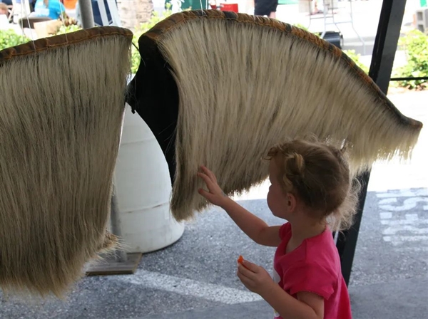 鲸须:须鲸身体最独特结构 到底如何帮助鲸鱼进食插图3 鲸须:须鲸身体最独特结构 到底如何帮助鲸鱼进食