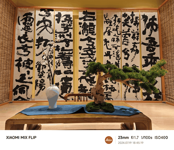 小米MIX Flip上手:史上最全能的小折叠插图35 小米MIX Flip上手:史上最全能的小折叠