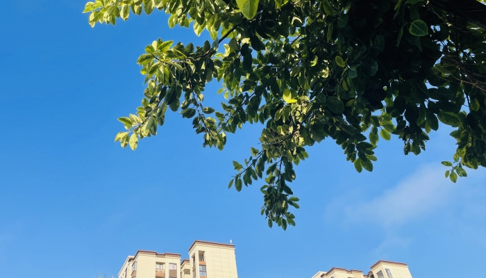 2024年7月25日环境气象预报:全国大部地区大气扩散条件较好