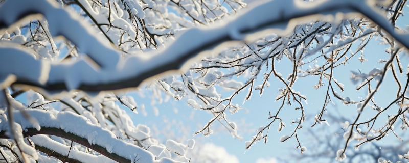 冷空气对台风发生发展的作用 台风和冷空气相遇会发生什么插图 冷空气对台风发生发展的作用 台风和冷空气相遇会发生什么