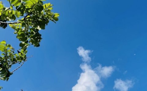 热带云系都有哪些 热带气旋的天气特征